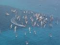 regata (28)